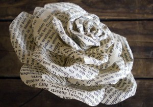 576_1396863822rosa-llibre